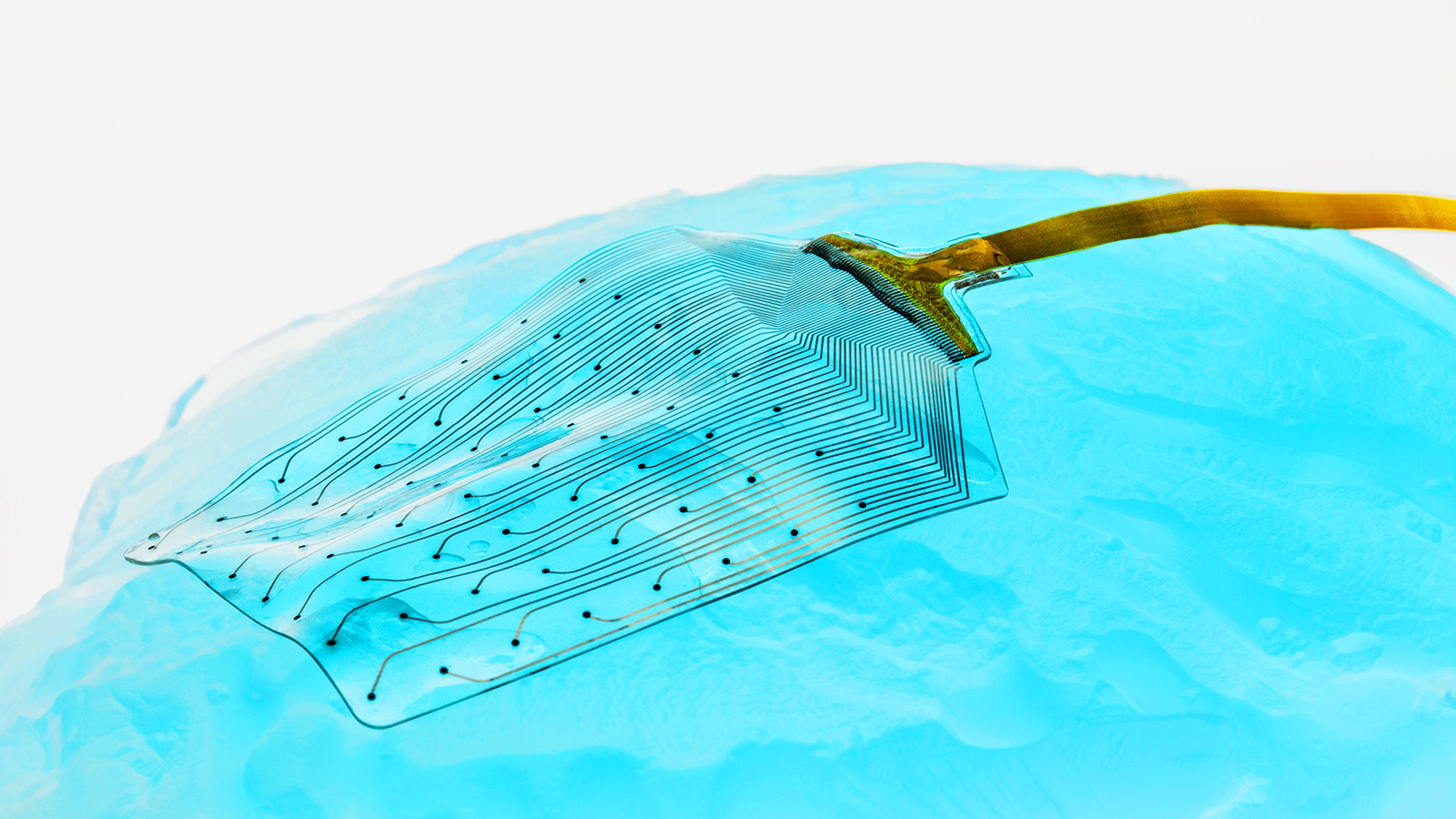 a flexible brain implant developed by Neurosoft on a blue model of the brain's surface