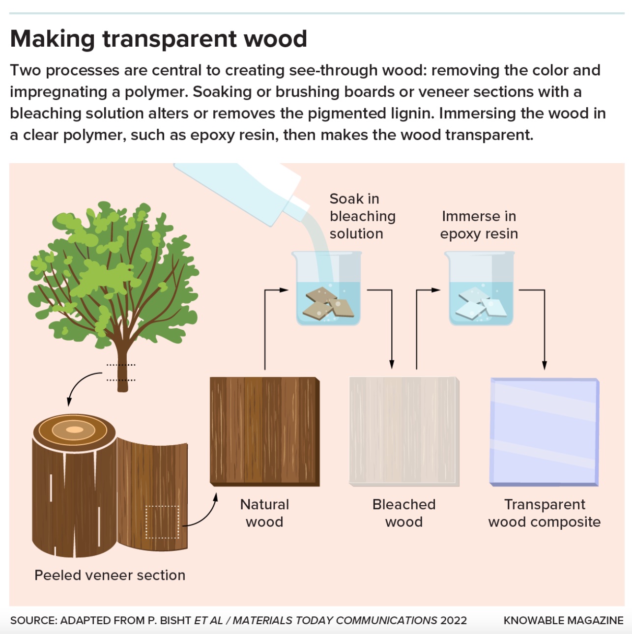 Making transparent wood.